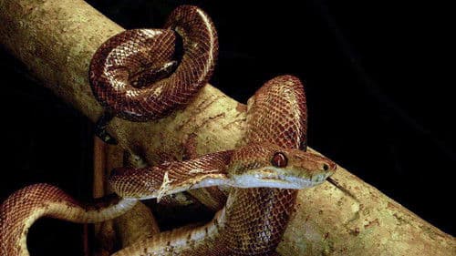 The Power of One Bild 5