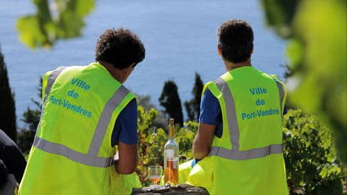 Les Municipaux, ces héros Bild 2