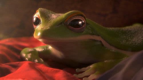 2018 Oscar Nominated Short Films: Animation Bild 2