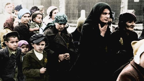 Auschwitz Untold: In Colour Bild 2