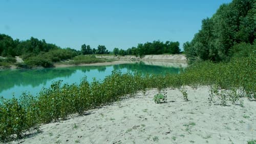 Il giardino nel paese del giardino Bild 2