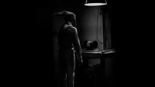 The Hollow Rabbit Bild 1