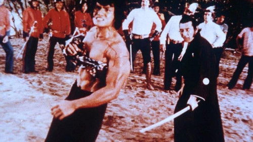 Pacific Connection Bild 2