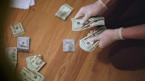 Drogen im Visier Bild 3