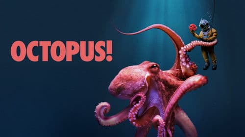 Octopus! Bild 1