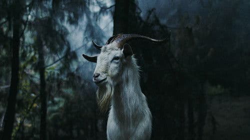 Luz: The Flower of Evil Bild 2