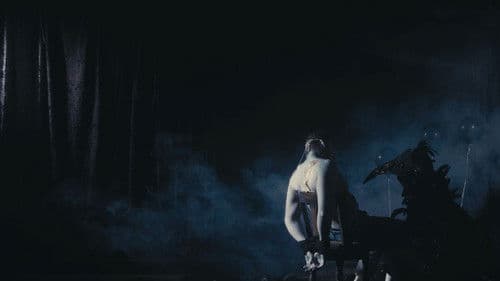 You are a Beetle Carved Exquisite from my Coffeetable Bild 1