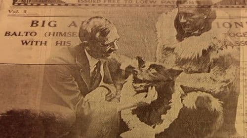 Balto - helten fra Alaska Bild 4