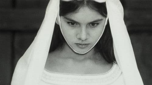 Údolí včel Bild 4