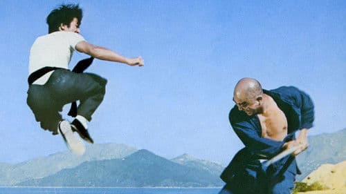 Ling Fu - Der Karate-Killer des Todes Bild 2