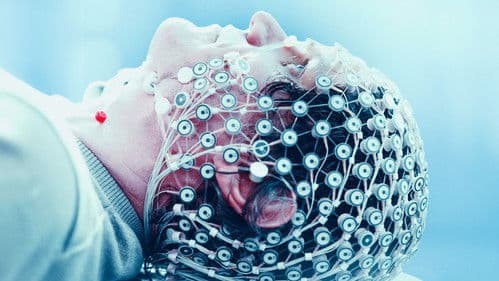 Zurück von den Toten Bild 1