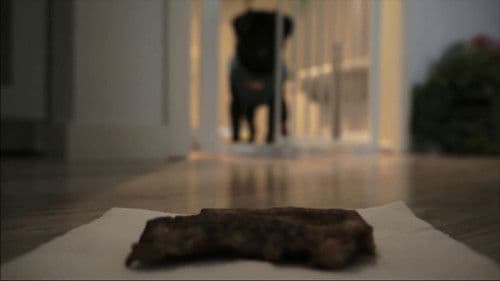 Carlinos, la serie Bild 1