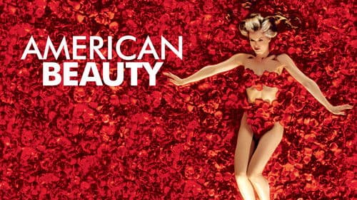American Beauty Bild 6