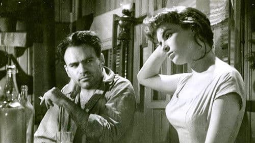 Valurile Dunării Bild 1