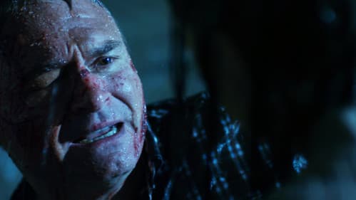 You Missed Sonja Bild 7