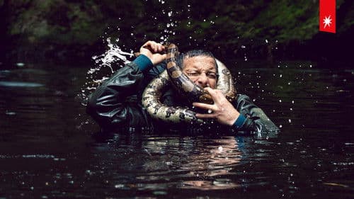 Du gegen die Wildnis – Der Film Bild 2