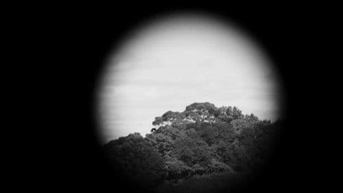 Trapallada (Saudade) Bild 1