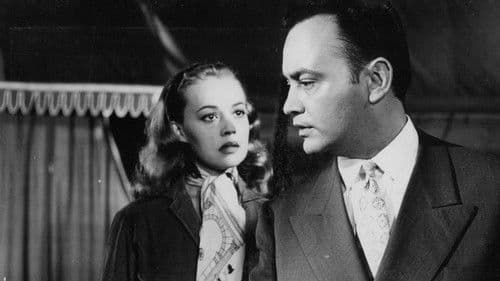 Hyänen unter sich Bild 1