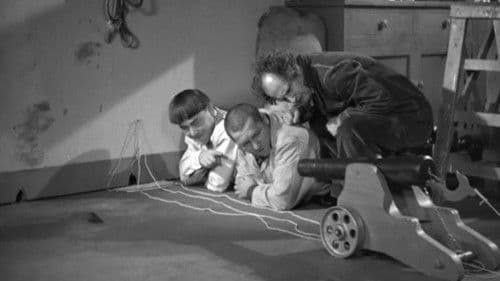 Termites of 1938 Bild 1