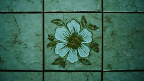 Bei meiner Seele Bild 4