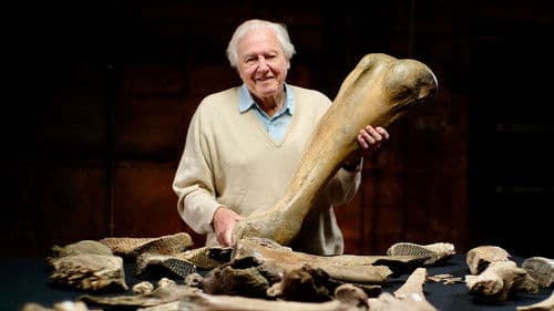 David Attenborough und der Mammut-Friedhof Bild 1