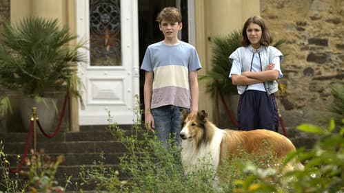 Lassie - Ein neues Abenteuer Bild 7