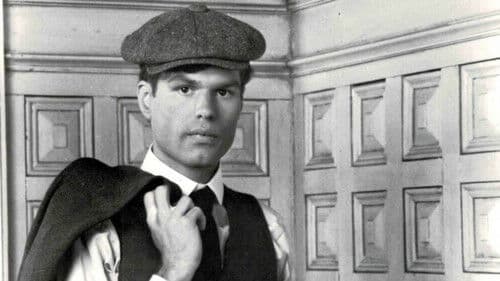 Studs Lonigan Bild 1