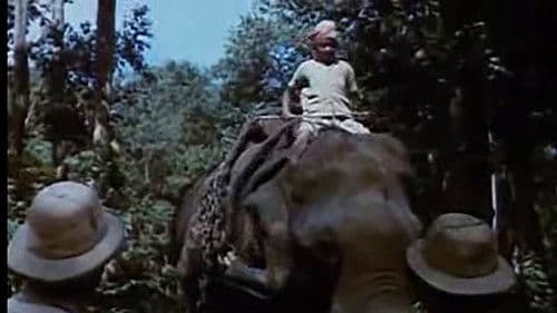 Der schwarze Berg Bild 1