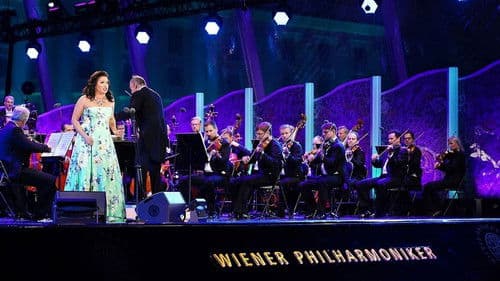 Sommernachtskonzert 2018 Bild 1