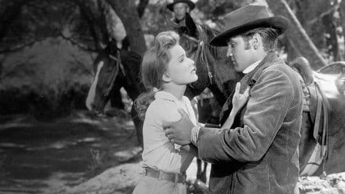 Pulverdampf und heiße Lieder Bild 2