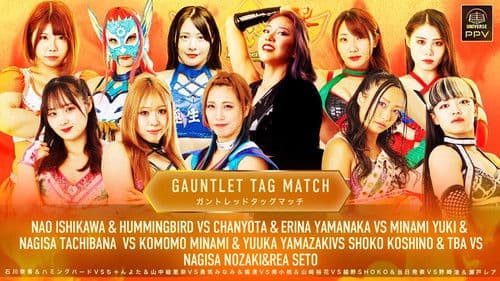 Marigold Grand Destiny 2025 Bild 8