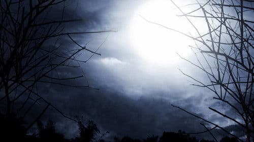 Masterpiece Mystery Bild 4