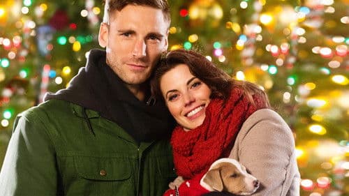 Weihnachten Undercover Bild 1