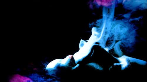 Blood Simple - Eine mörderische Nacht Bild 7