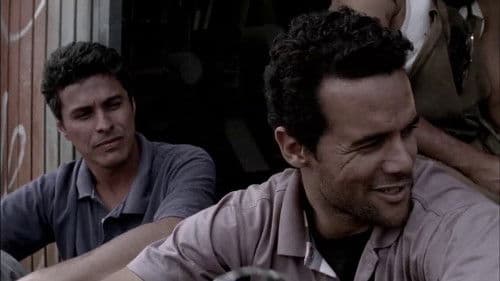 Dias de Greve Bild 1