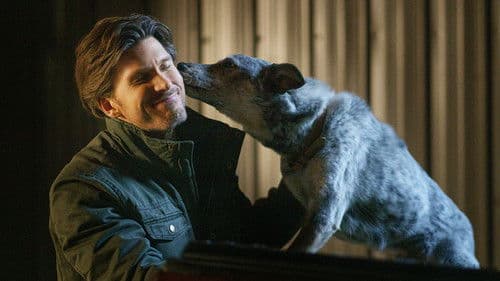 Der Wind weht Richtung Liebe Bild 3