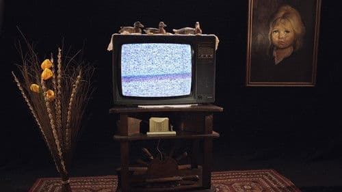 Uma História do Espectador de Cinema Bild 1