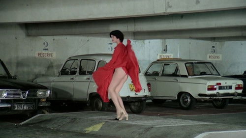 Ein Elefant irrt sich gewaltig Bild 5