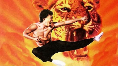 Duell der 7 Tiger Bild 1