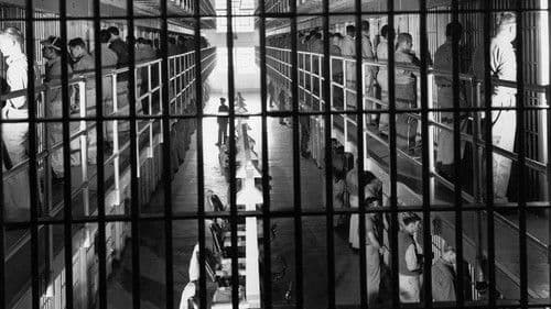 Rebellion im grauen Haus Bild 4