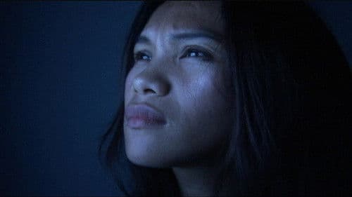 Todo Todo Teros Bild 1