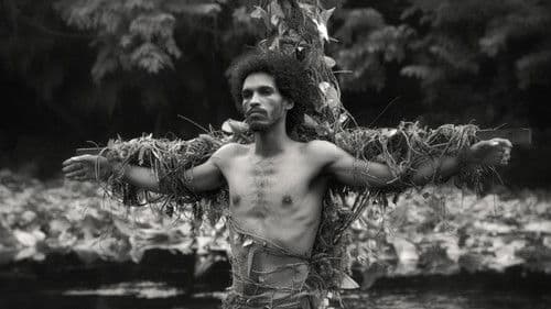 Los océanos son los verdaderos continentes Bild 1