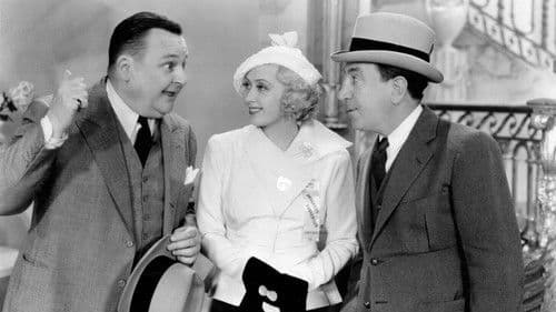 Traveling Saleslady Bild 5