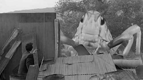 Beginning of the End Bild 4