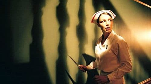 When Night Falls Bild 1