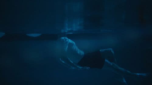 American Flake Bild 1