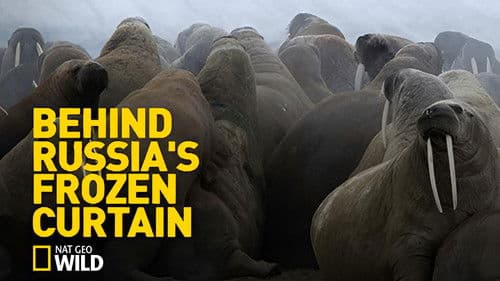 Behind Russia's Frozen Curtain Bild 1