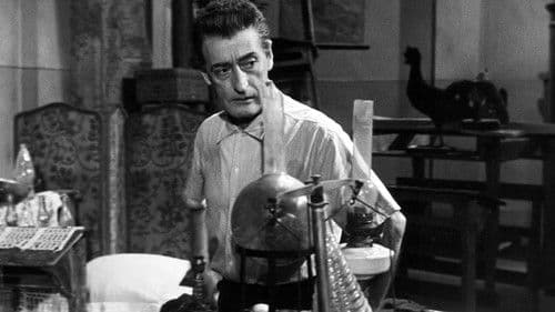 Totò cerca casa Bild 7