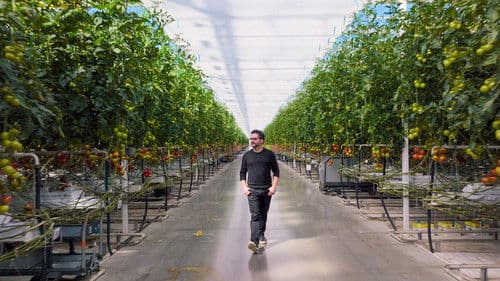 A Brief History of the Future Bild 2