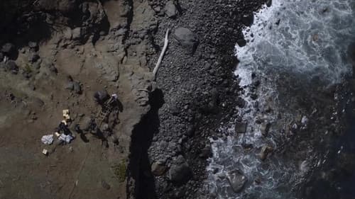 The Wind & the Reckoning Bild 3